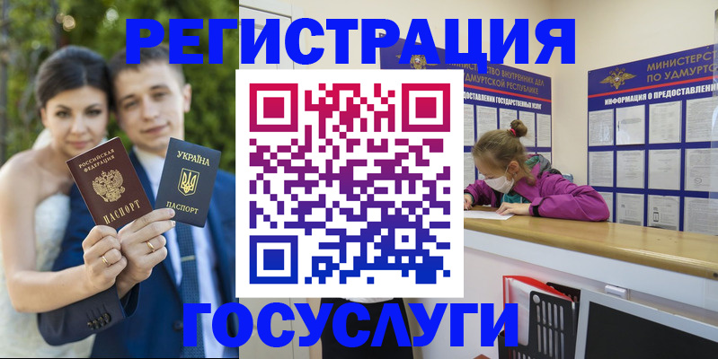 прописка поиск в Щёлкино